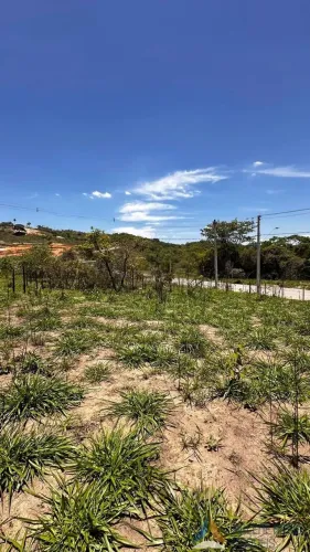 Tiradentes lote Betim