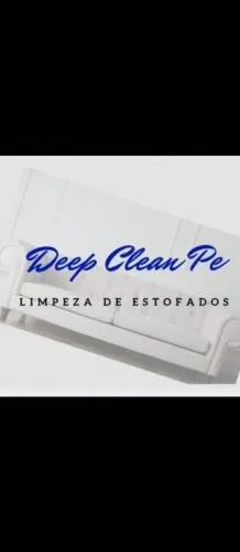 Higienização de estofados, economize, não comprei outro!!!