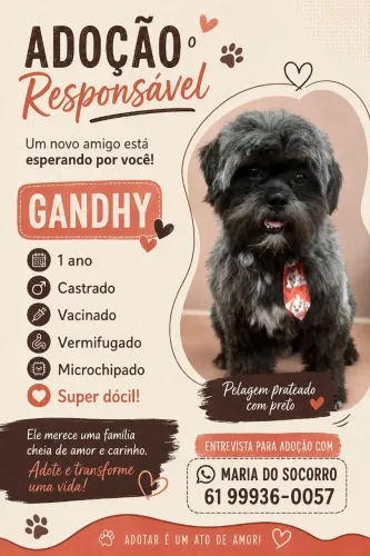 Adoção Responsável