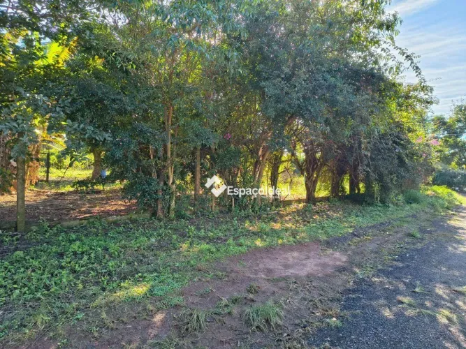 Chácara no Corvo Branco: Tranquilidade e Valorização