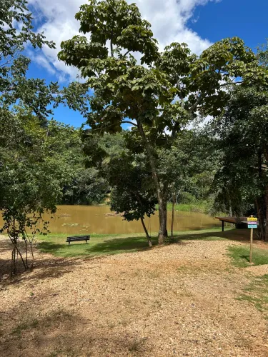 Sítio com renda mensal e plantação. Oportunidade!