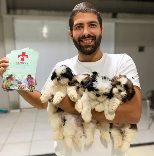 Shih tzu mine 
