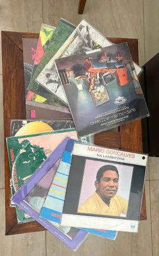 Lote 10 discos de vinil variados