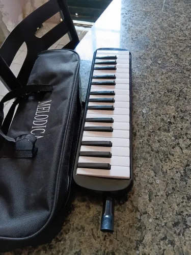 Vendo escaleta profissional nova
