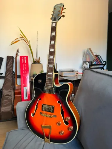 Guitarra e Captadores Novos