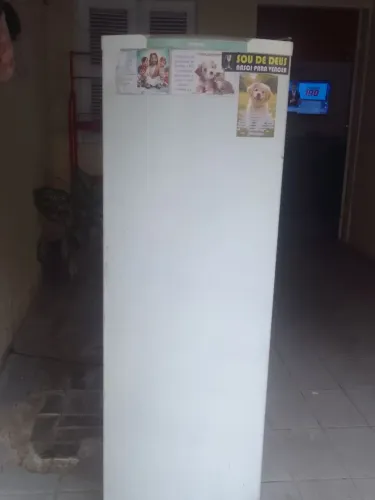 Geladeira Gelo Seco marca Consul funcionando muito bem
