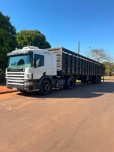 Scania P 330, boiadeiro