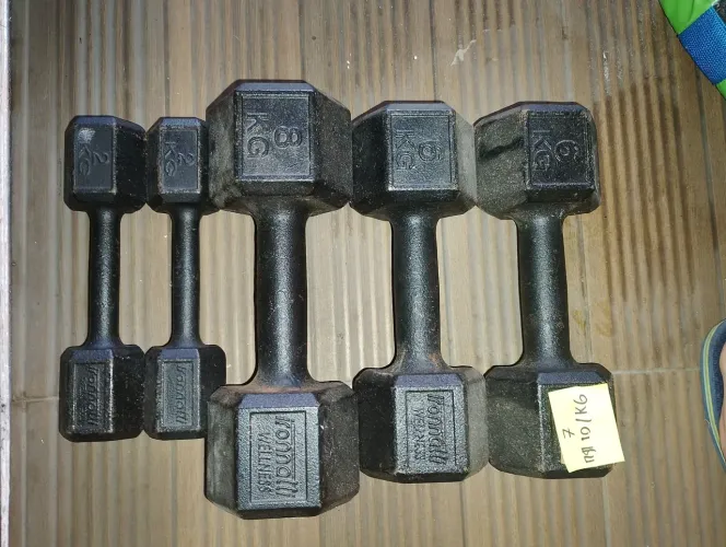 Halteres sextavados academia