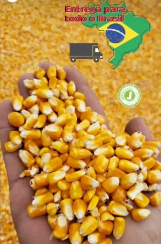 Milho em Grãos,Quirela de milho moído,Farelo de Soja moído,Farelo de Algodão,Fubazão moído