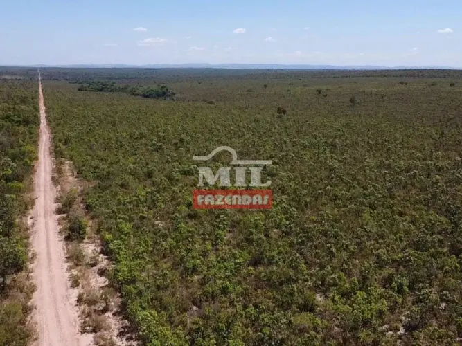 Fazenda 453,5 Alqueires (2.195 Hectares) Guarai - TO