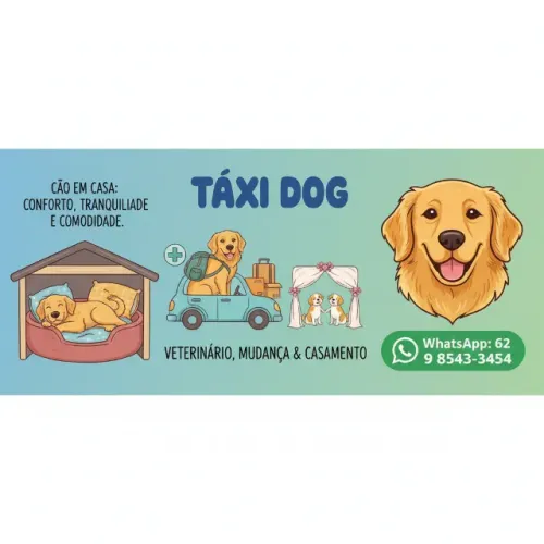 Taxi dogg