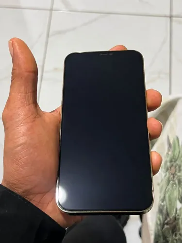 iPhone 12 pro Max 256Gb