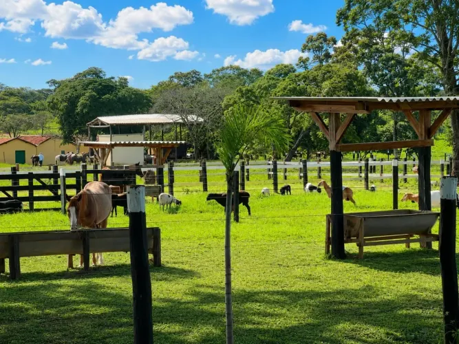 Fazenda completa de 75 alqueires por R$ 16 milhões: oportunidade rara em Goiás