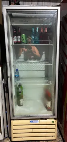 Expositor freezer 