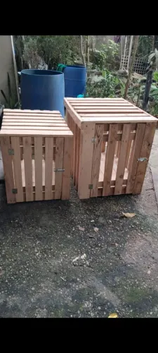 Caixa pra viagem de animais 