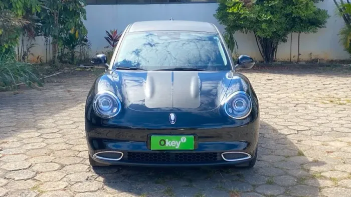 GWM Ora 03 Skin (elétrico) 2024