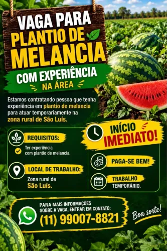 Trabalhador com experiência em Plantio de Melancia 