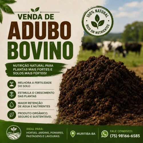 Adubo bovino