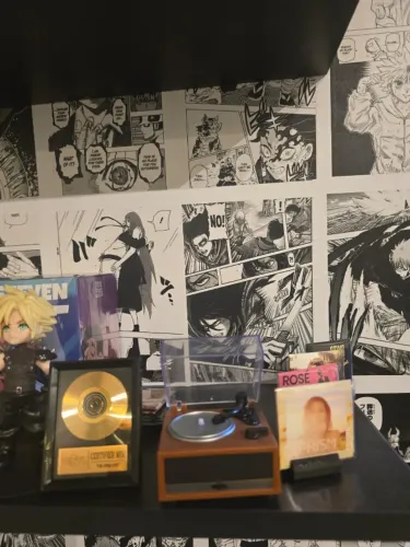 Mini brands vinyl + Vinyl e Disco de Ouro