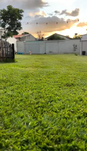 Grama Batatais GRÁTIS - retirada por conta do interessado