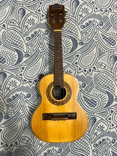 Cavaquinho Del Vecchio Elétrico com Capa | Ótimo Estado