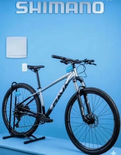 Bicicleta aro 29