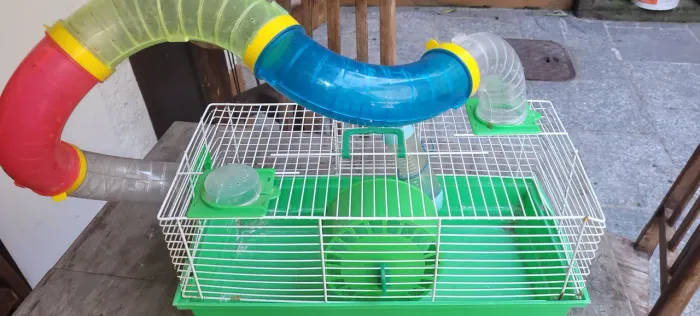 Caixa para hamster