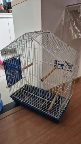 Viveiro para aves