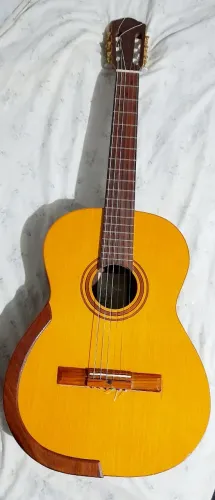 DDR4 para Di Giorgio Violão 