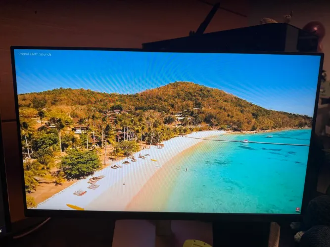 Monitor Dell P2422H