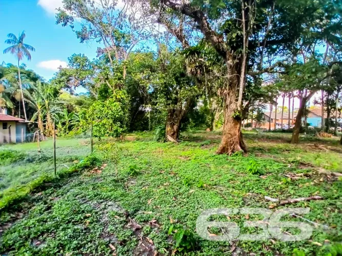 Terreno | São Francisco do Sul | Iperoba