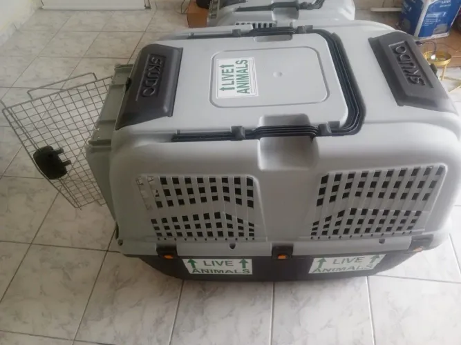 Caixa de Transporte Pet IATA SKUDO 6 