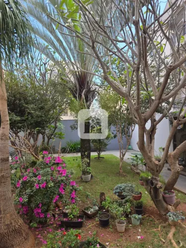 Apartamento para locação no bairro Santa Mônica