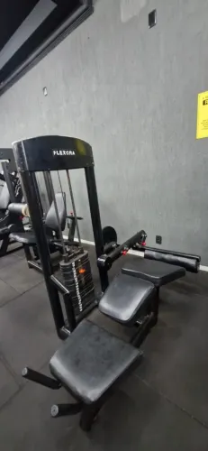 Mesa flexora 