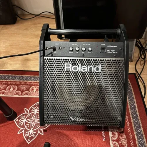 Amplificador Roland PM-100
