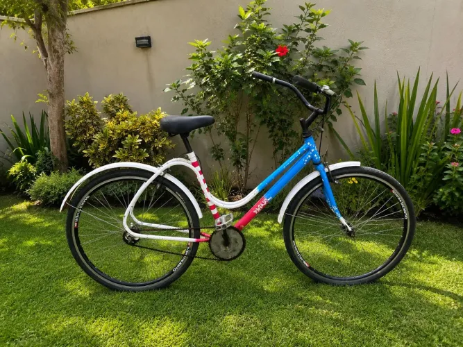 Monark brisa