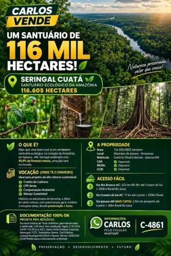 Áreapara venda tem 116.605 hectares de mata nativa em zona rural - Ipixuna - AM