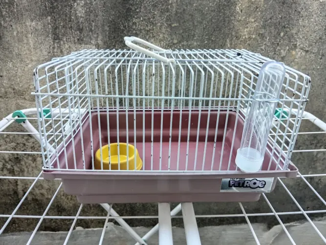 Gaiola para hamster