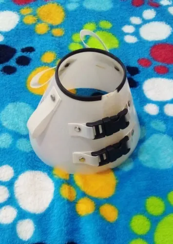 Colar elizabetano para gato