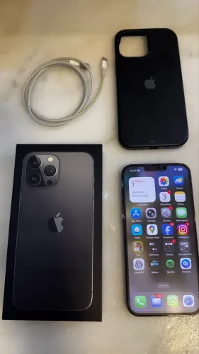 iPhone 13 Pro Max 256G