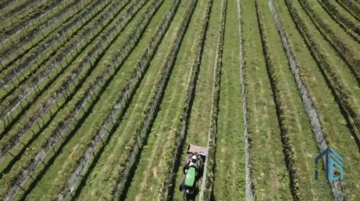 - Fazenda, Vinícola, Sítio, A VENDA, próximo ao centro de São Joaquim SC