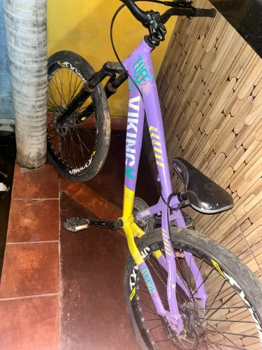Quadro de vikingx roxo