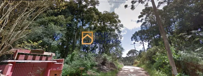 À 2 min da HAVAN em Fazenda Rio Grande - Seu Refúgio na Natureza - Terreno no Bosque Dom B