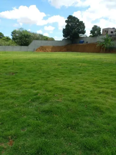 Terreno para Venda em Cariacica, Alzira Ramos