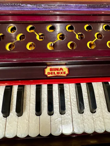 Harmônio Harmonium Bina Deluxe Krishna Das Dulcetina
