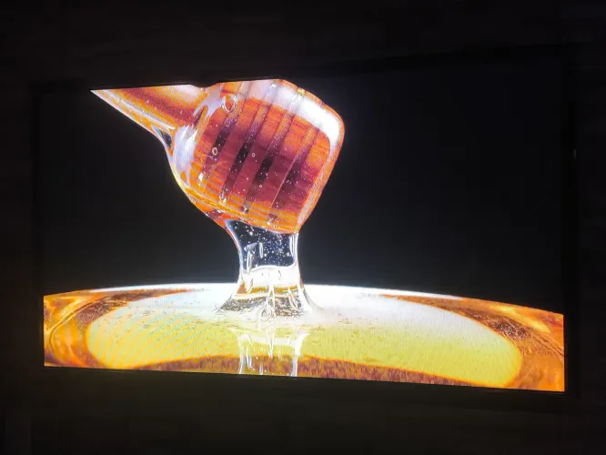 Samsung Plasma Display 55"