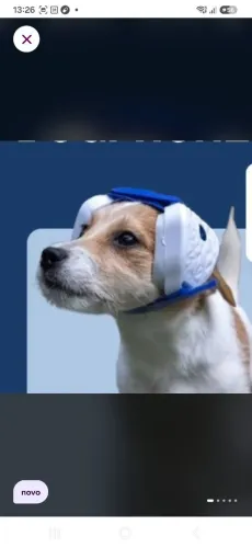 Fones protetores de cachorro