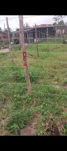 Terreno pra venda ou troncar