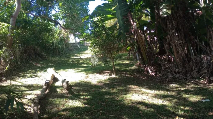 Terreno declive à venda, 360 m² na Tijuca - Teresópolis/RJ.