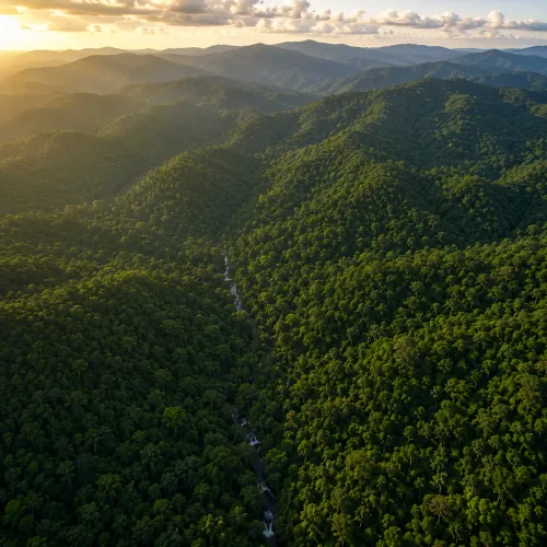 Fazenda para Compensação Ambiental